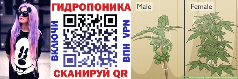 Канабис сатива  kraken tor  Полесск  наркота 